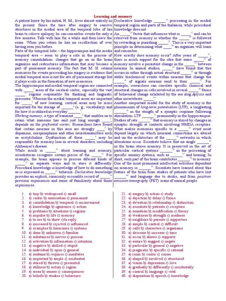 Learning And Memory Pdf Long Term Potentiation Memory
