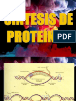 Síntesis de Proteínas