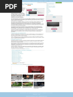 Significado de Panacéia - O Que Significa, Conceito e Definição