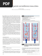 Anatomía de las Venas Perforantes Inferiores | PDF | Vena | Rodilla