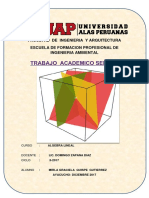 Algebra lineal fundamentos ingeniería ambiental