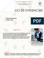 Portafolio de Evidencias