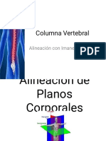 Columna Vertebral