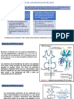 Estructura