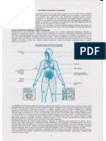 curs2.pdf