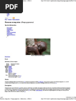 Download Bornean Orang-utan - Pongo Pygmaeus - Information - ARKive by Muhammad Thaqif SN38732577 doc pdf