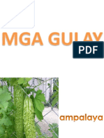 mga-gulay.pptx