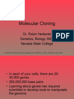 Molecular Cloning: Dr. Robin Herlands Genetics, Biology 300, Nevada State College