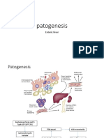 Patogenesis