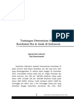 1 Tantangandeterminansosialkiadiindonesia PDF