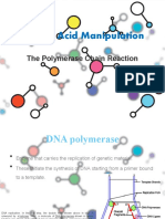 Nucleic Acid Manipulation: The Polymerase Chain Reaction