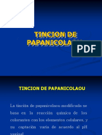 tincionpapanicolau-1111111.pdf