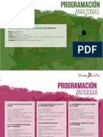 Programaci