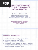 Basin Hydrology and Wetland Dynamics of Agusan Marsh
