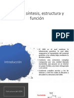 EL DNA: Síntesis, Estructura y Función