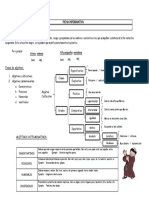 Tema: El Adjetivo: Ficha Informativa