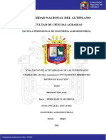 Universidad Nacional Del Altiplano: Facultad de Ciencias Agrarias