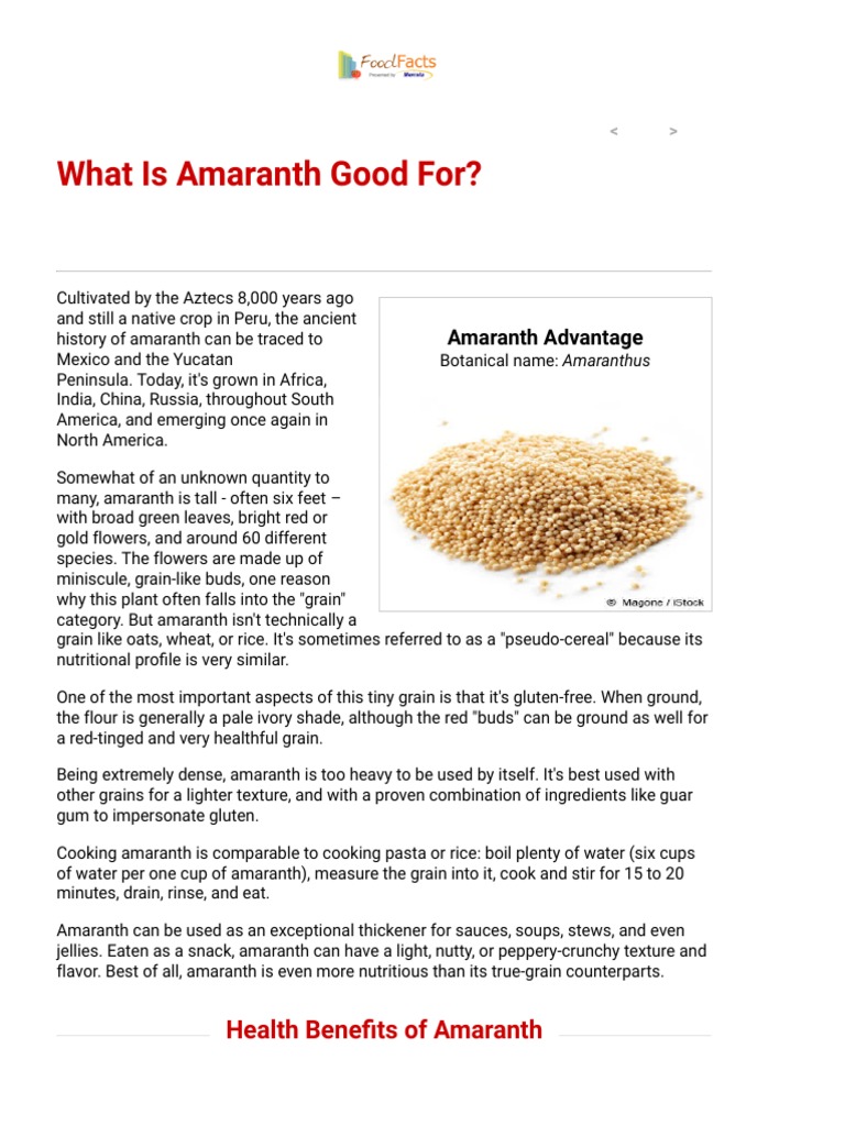 What Is Amaranth Good For? Health Benefits of Amaranth PDF