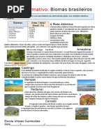 Mapa Mental Biomas Brasileiros | PDF | Florestas | Geociências