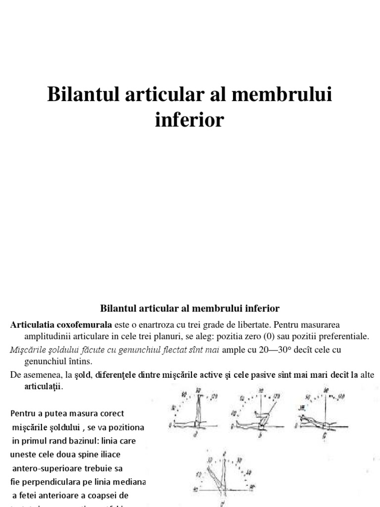 Bilantul | PDF