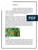 que                                                                                 son                                                                                 plantas                                                                                 medicinales.docx