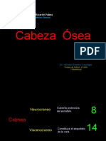 Cabeza 1era Clase DR Romero
