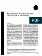 Hydrodynamics of Geopressuredin The Northern Gulf of Mexico Basin