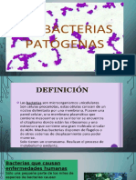 Diapositivas Abcterias