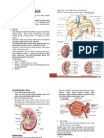 Basic Science GenitoUrinary System