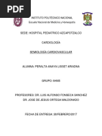 Semiologia Cardiovascular