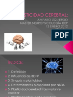 Plasticidad Cerebral PDF