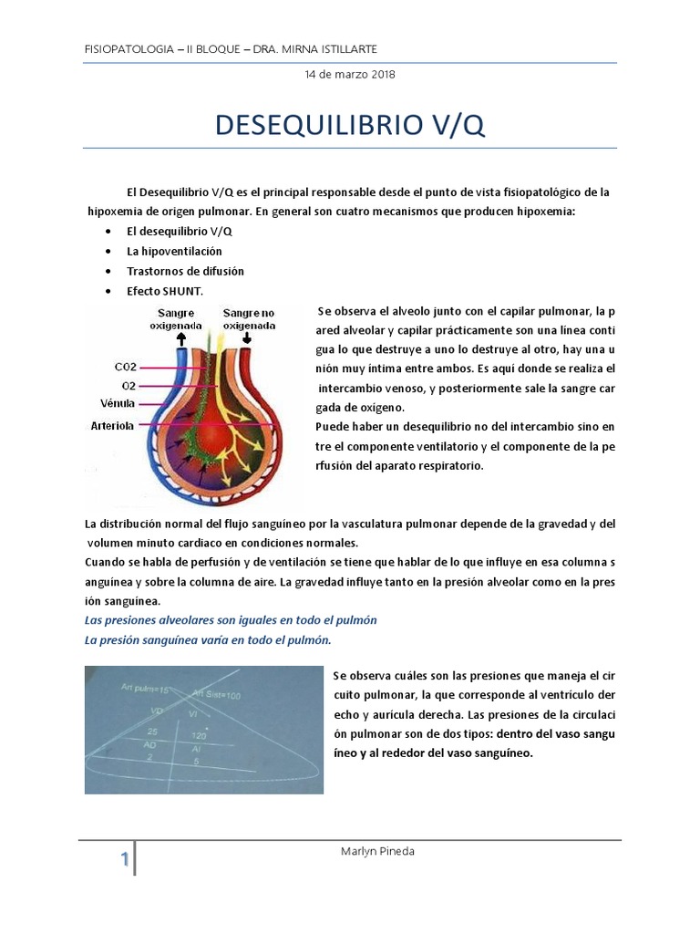Desequilibrio Vq Hemodinamica Pulmon