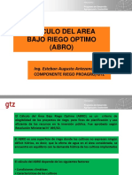 107176266-Presentacion-ABRO-Curso.pdf