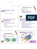 Endomembrane, organeli.pdf