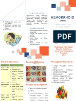 Leaflet Hemoroid