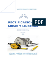 Rectificación de Áreas y Linderos