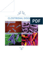 Clostridial Diseases