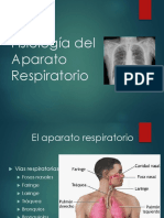 Fisiología Del Aparato Respiratorio