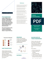 Tissue Engineering For Cleft Palate & Lip