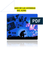 Cuidadoavenidasalma PDF