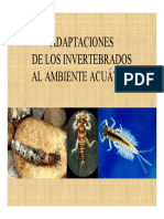 Adaptaciones de Los Invertebrados Al Ambiente Acuatico