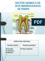 Composición química de los tejidos dentales