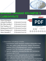 Karbohidrat Klasifikasi dan Fungsi Dasar