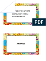 Reproductive System Respiratory System Urinary System