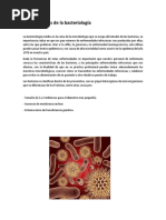 Generalidades de La Bacteriología