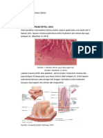 Tugas 2 Struktur Epitel Usus Dan Mulut