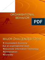 Organisational Behavior