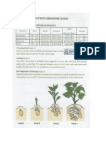 potato growing guide