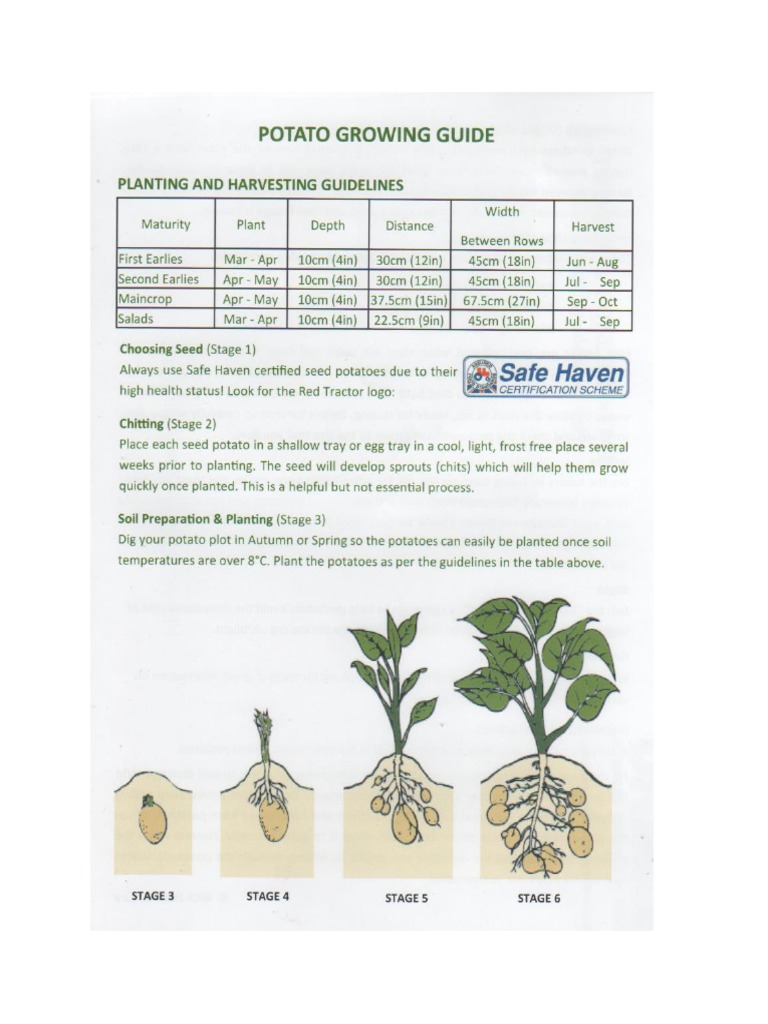 Potato Growing Guide PDF