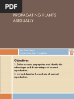 Propagating Plants Asexually: Unit. Plant Science Problem Area. Plant Propagation